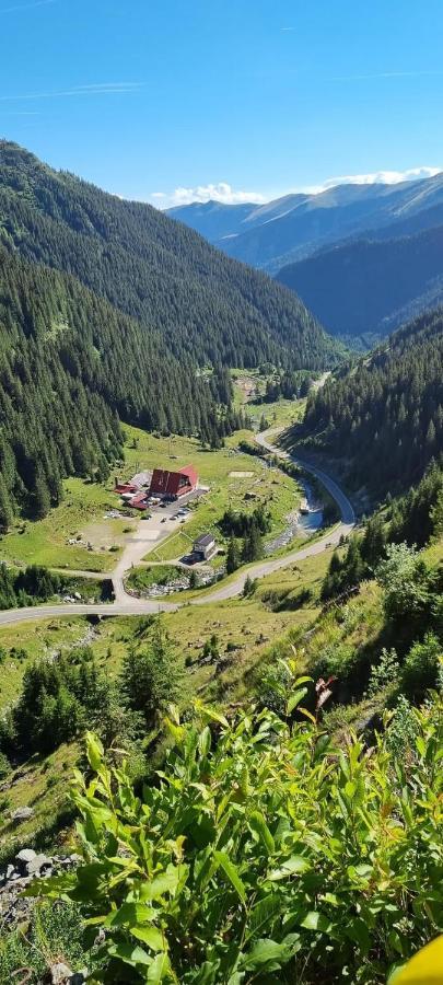 Casa Lupilor Villa Căpăţîneni-Ungureni Exterior foto